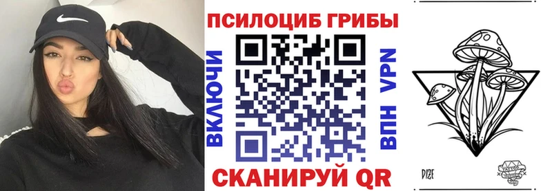 Псилоцибиновые грибы Psilocybe  Купить  Бронницы 